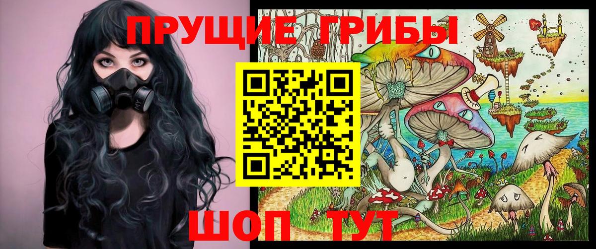 Псилоцибиновые грибы Psilocybe  Псилоцибиновые грибы GOLDEN TEACHER  Кубинка  Вход с VPN 
